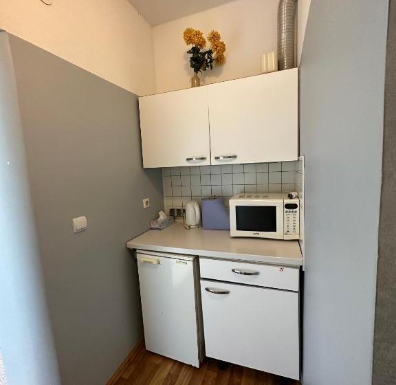 اتاق استاندارد, Radi