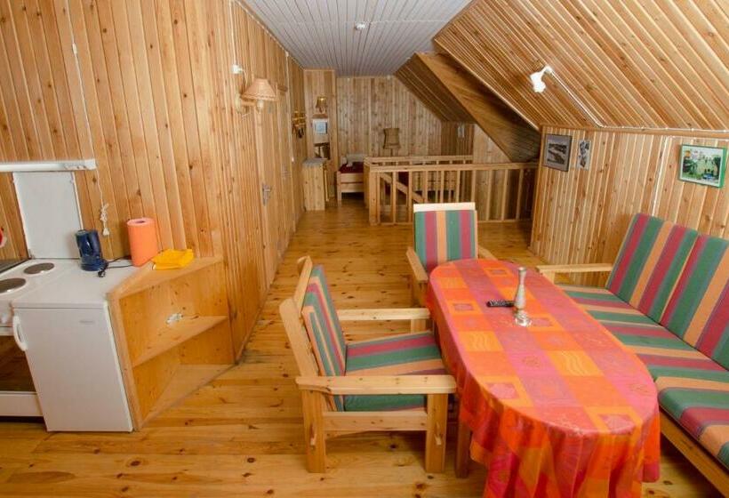 آپارتمان 1 خوابه, Saare Manor Guesthouse