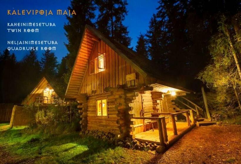 اتاق استاندارد چهار تخته, Viikingite Küla