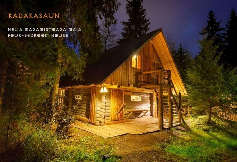 خانه 4 خوابه, Viikingite Küla