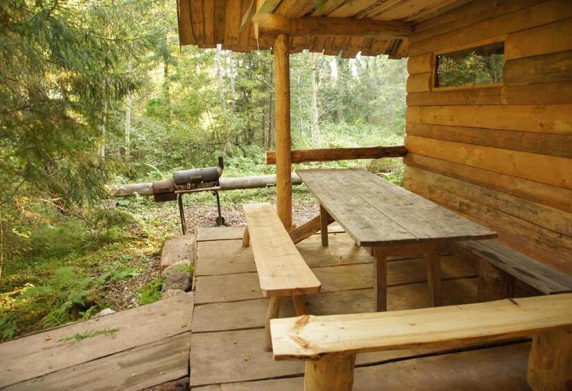 خانه 4 خوابه, Viikingite Küla