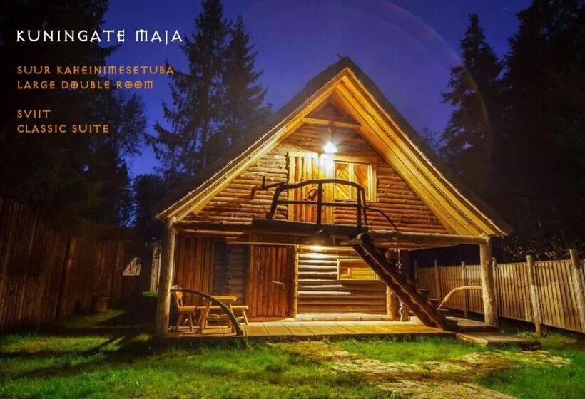 اتاق استاندارد, Viikingite Küla