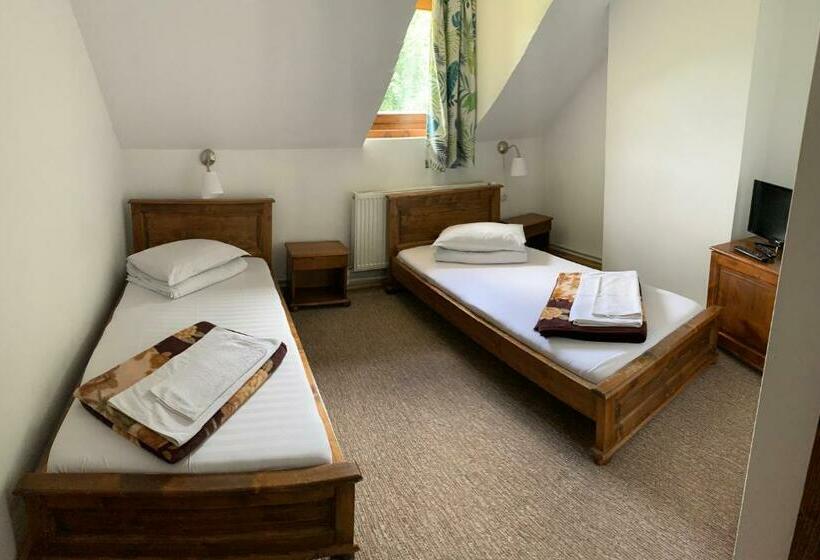 ２ダブルベッドのスタンダードルーム, Csíki Határ Fogadó/ Hanul Hotarul Ciucului