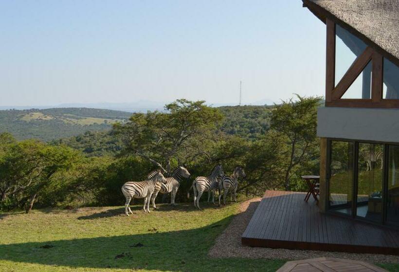 جناح, Jbay Zebra Lodge