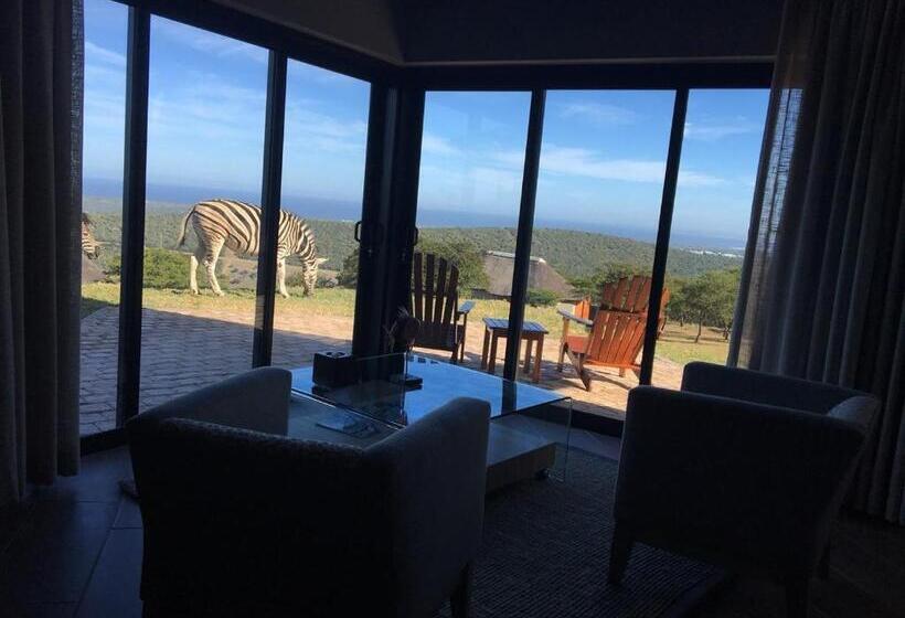 جناح, Jbay Zebra Lodge