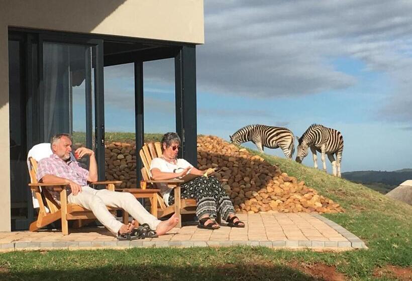 جناح, Jbay Zebra Lodge