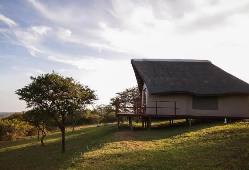 Standard Tent, Jbay Zebra Lodge