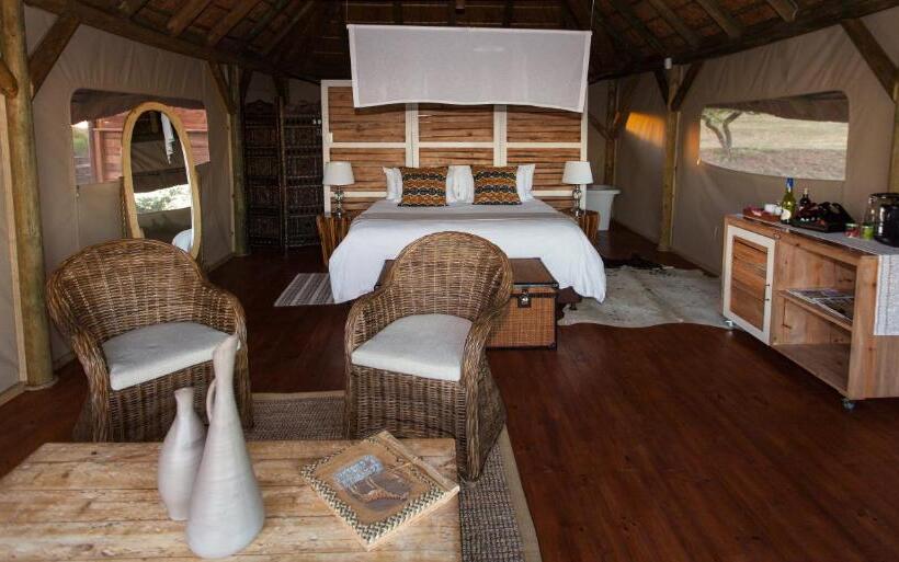 Standard Tent, Jbay Zebra Lodge