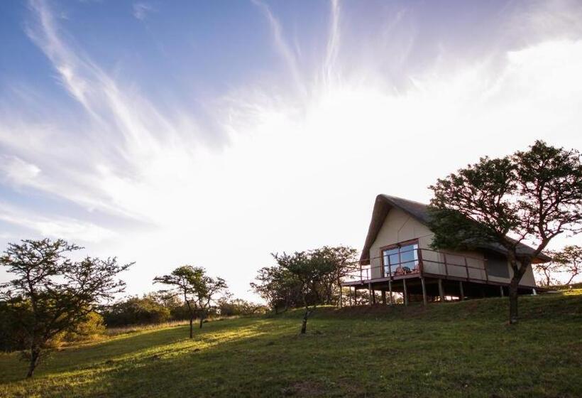 كوخ قياسي, Jbay Zebra Lodge