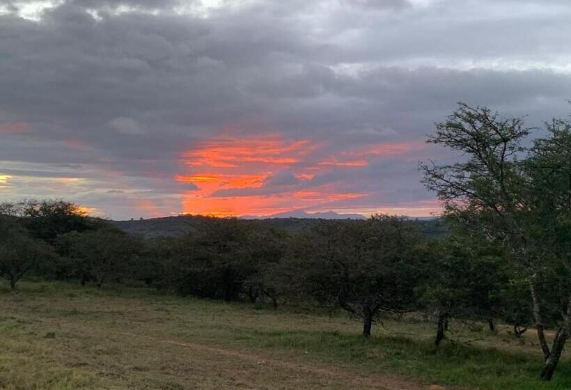 غرفة قياسية, Jbay Zebra Lodge