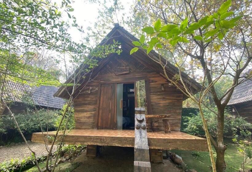 اتاق خانوادگی, Khu Du Lịch Sinh Thái Akoea