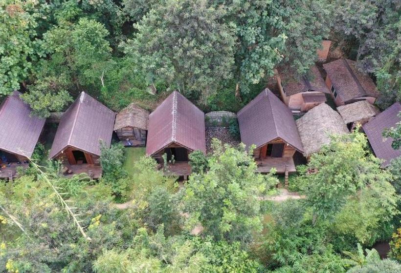 اتاق خانوادگی, Khu Du Lịch Sinh Thái Akoea