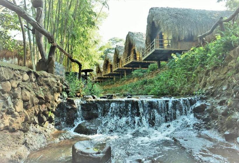 اتاق استاندارد با تخت بزرگ, Khu Du Lịch Sinh Thái Akoea