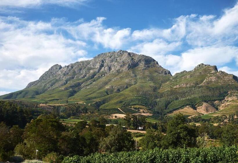 سوییت لوکس, Alluvia Boutique Winery & Luxury Accommodation