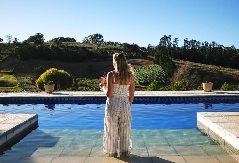 سوئیت پریمیوم, Alluvia Boutique Winery & Luxury Accommodation