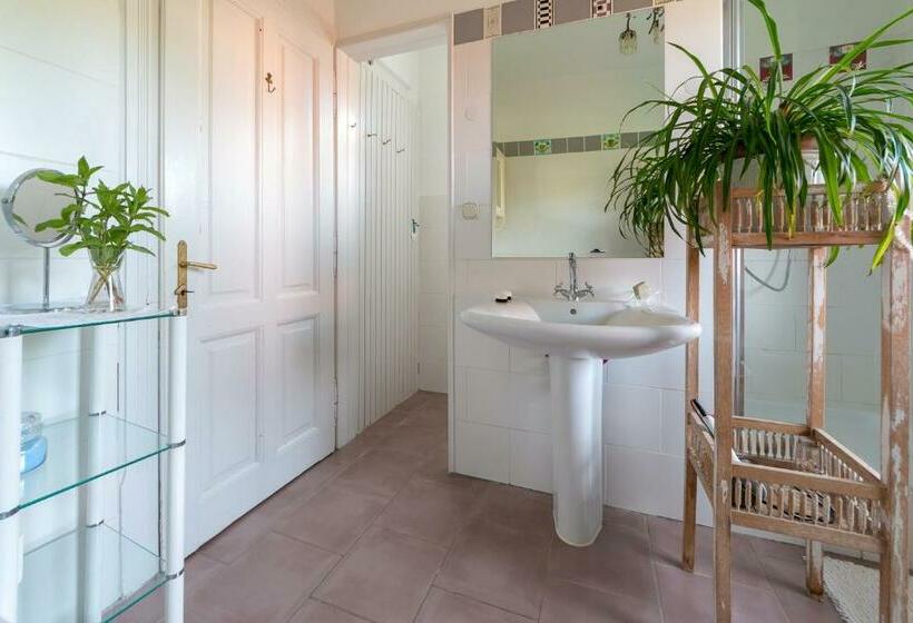 اتاق استاندارد یک تخته با سرویس بهداشتی مشترک, Bajtica Guesthouse