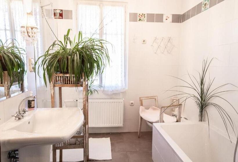 اتاق استاندارد یک تخته با سرویس بهداشتی مشترک, Bajtica Guesthouse