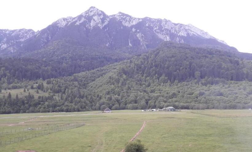 スタンダードルーム, Domurile Din Zărnești