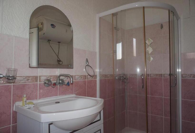 חדר דחוקס עם מיטת קינג, Lenny