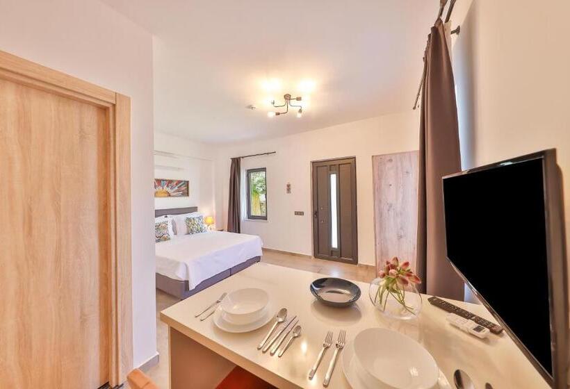Bahçe manzaralı standart stüdyo, Thomas Suites Datca