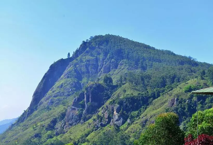 اتاق خانوادگی, Iconic Rawana Resort