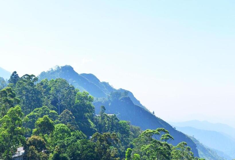 ファミリールーム, Iconic Rawana Resort