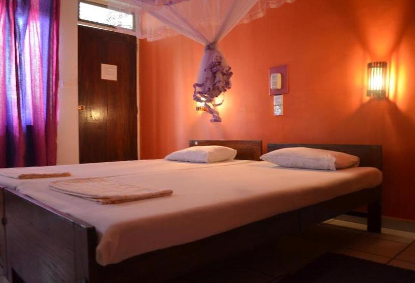 חדר סטנדרט, Paradiso