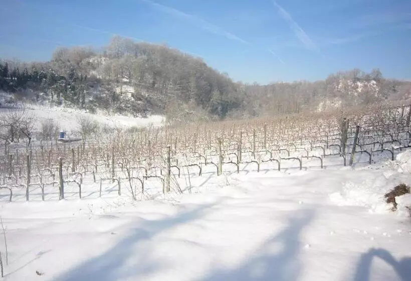 Standard-huone, Agriturismo Villa Le Vigne