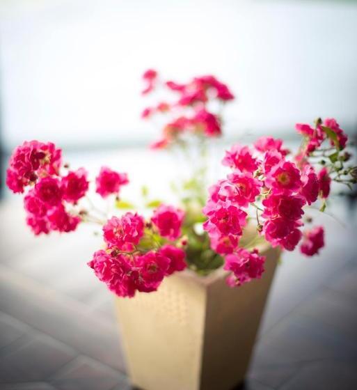 标准三人间, Agriturismo Villa Le Vigne