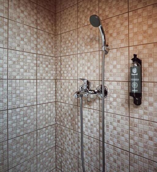 غرفة قياسية ذات أسقف منحدرة, Akti Hotel Ioannina