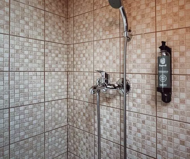 屋根裏部屋風スタンダードルーム, Akti Hotel Ioannina