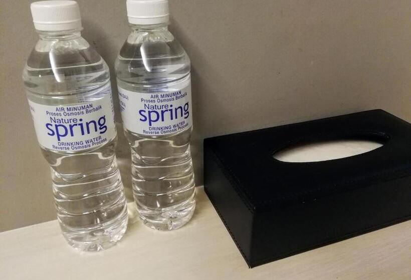 豪华房间, Aurora