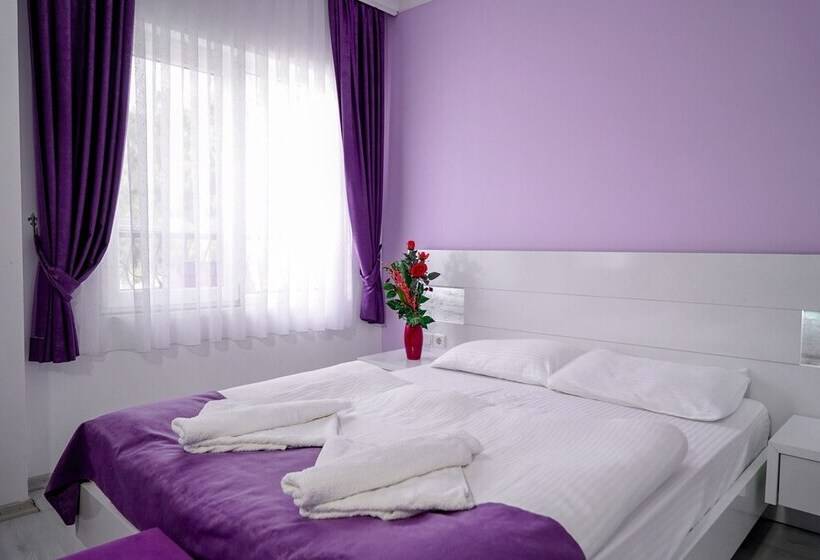 스탠다드 룸, Fuda