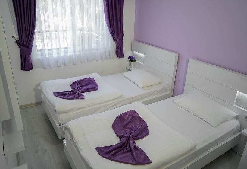 스탠다드 룸, Fuda