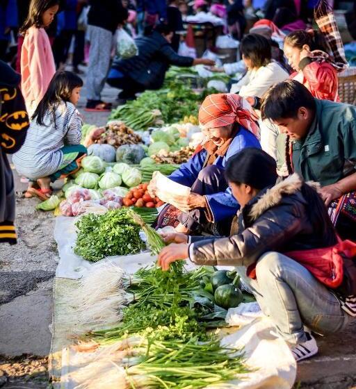 Номер Стандарт, Reverie Siam