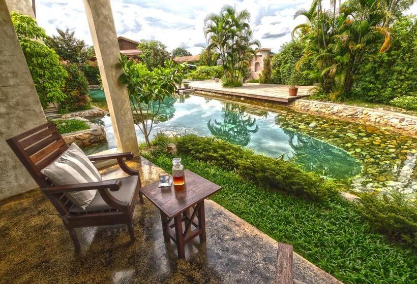 Номер Стандарт, Reverie Siam