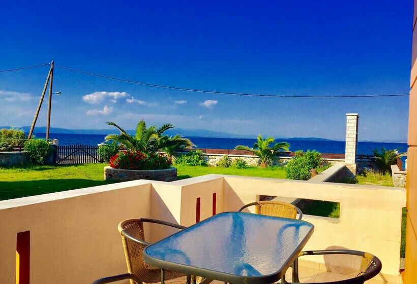 침실 2개 주택, Nitelli's Houses