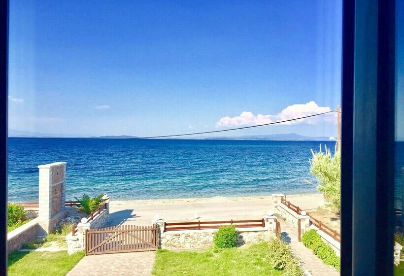 침실 2개 주택, Nitelli's Houses