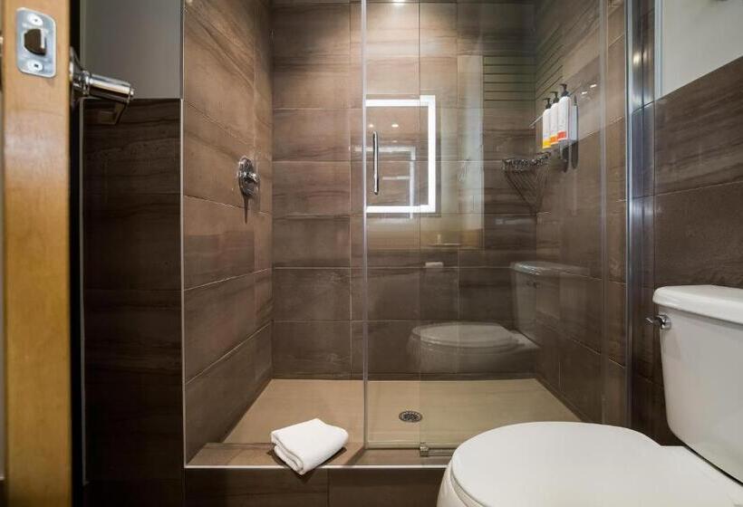 جناح جونيور, 11, Mod A Sonesta Collection