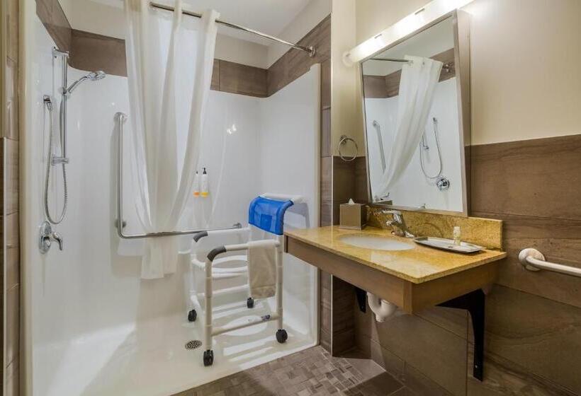 غرفة قياسية سرير كينج لذوى الإحتياجات الخاصة, 11, Mod A Sonesta Collection