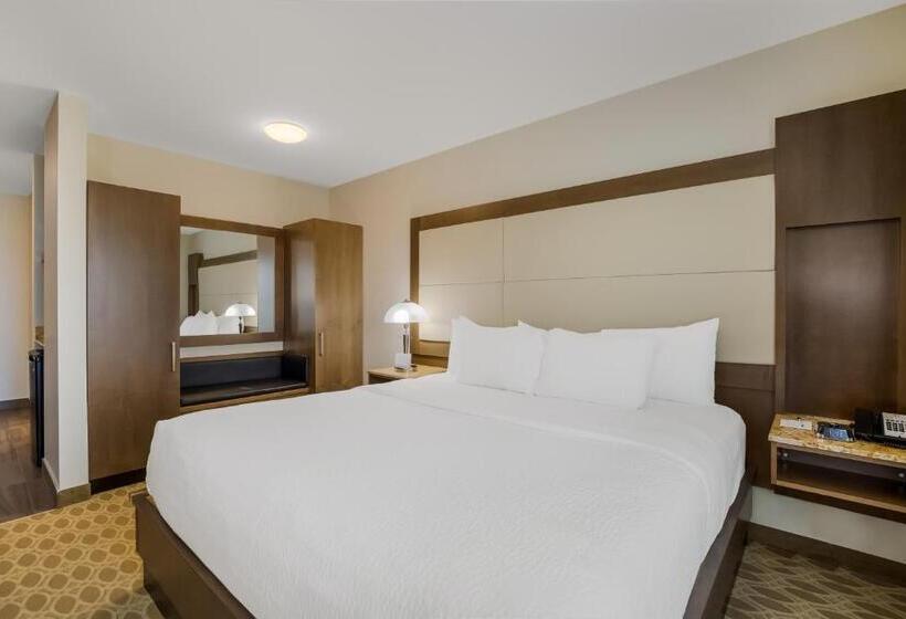 غرفة قياسية سرير كينج لذوى الإحتياجات الخاصة, 11, Mod A Sonesta Collection