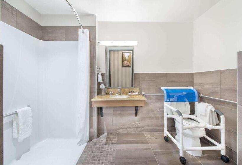 غرفة قياسية سرير كينج لذوى الإحتياجات الخاصة, 11, Mod A Sonesta Collection