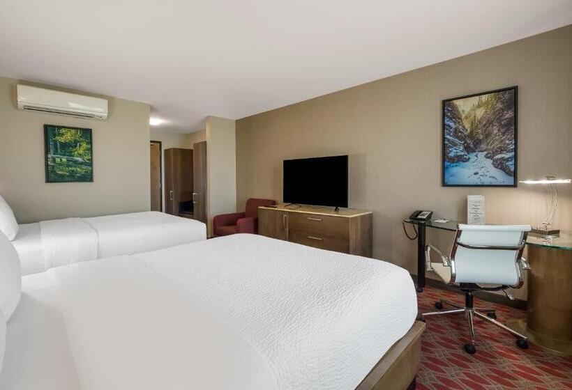 غرفة قياسية, 11, Mod A Sonesta Collection