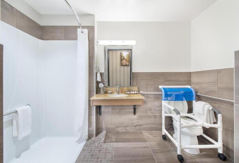 غرفة قياسية لذوى الاحتياجات الخاصة, 11, Mod A Sonesta Collection