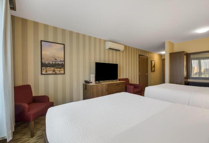 غرفة قياسية لذوى الاحتياجات الخاصة, 11, Mod A Sonesta Collection