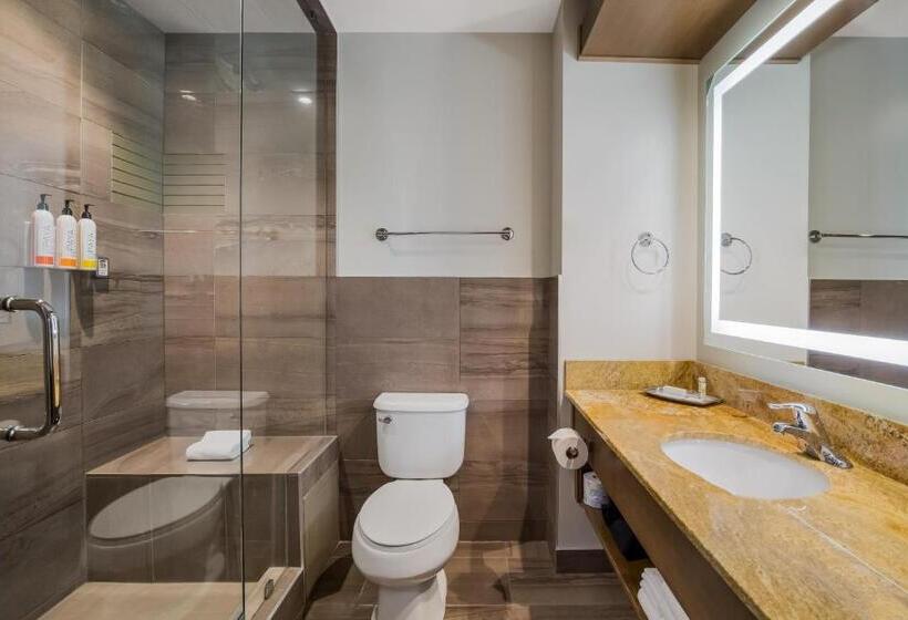 غرفة قياسية سرير كينج, 11, Mod A Sonesta Collection