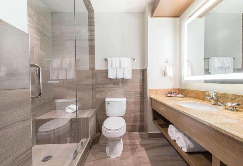 جناح جونيور, 11, Mod A Sonesta Collection