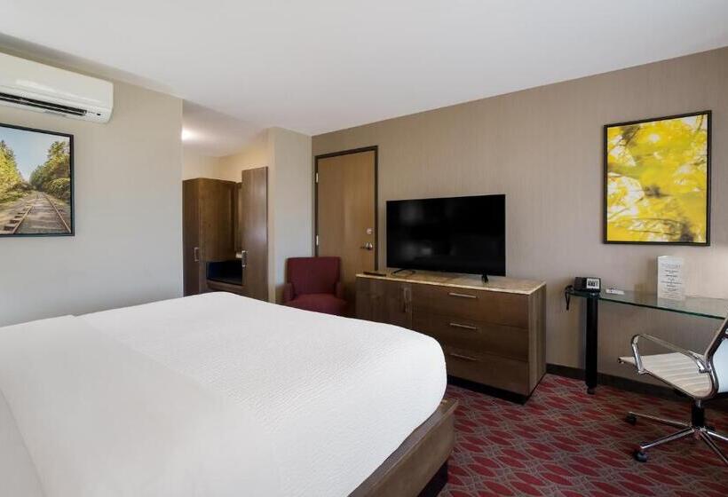 غرفة قياسية سرير كينج, 11, Mod A Sonesta Collection