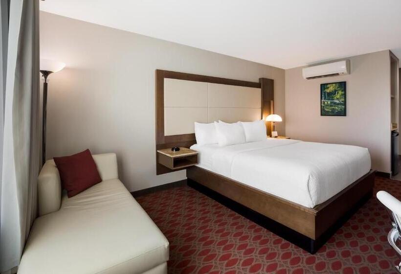 اتاق استاندارد با تخت بزرگ, 11, Mod A Sonesta Collection