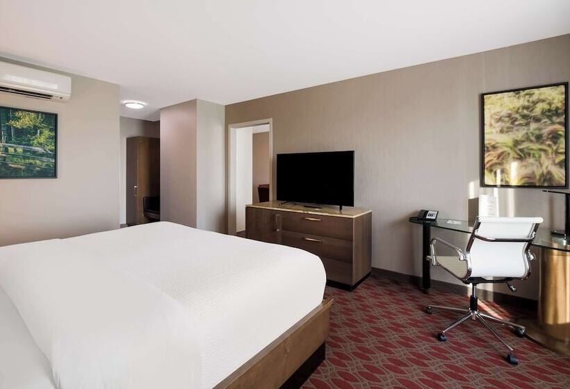 جناح جونيور, 11, Mod A Sonesta Collection